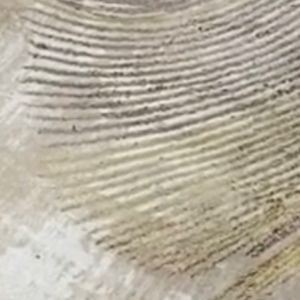 Meet your Posher, Daramfon